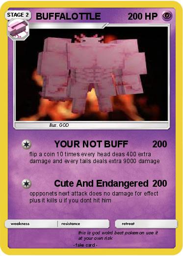 Pokemon BUFFALOTTLE