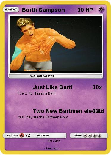 Pokemon Borth Sampson