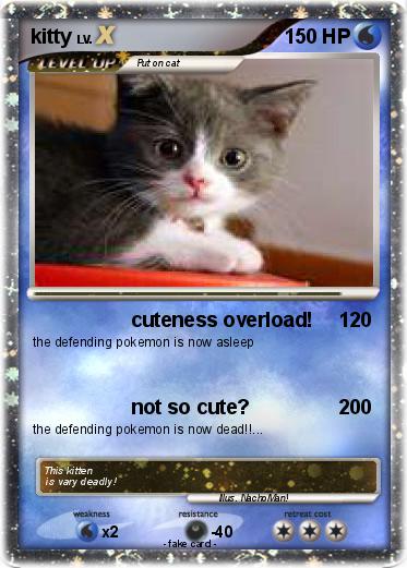 Pokemon kitty
