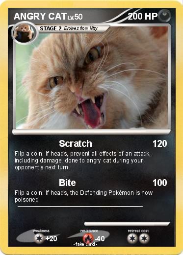 Pokemon ANGRY CAT
