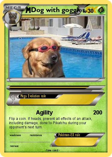 Pokemon Dog with goggles