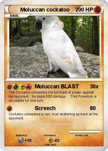 Pokemon Moluccan cockatoo
