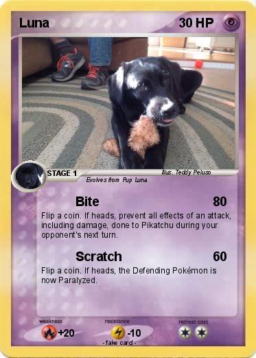 Pokemon Luna