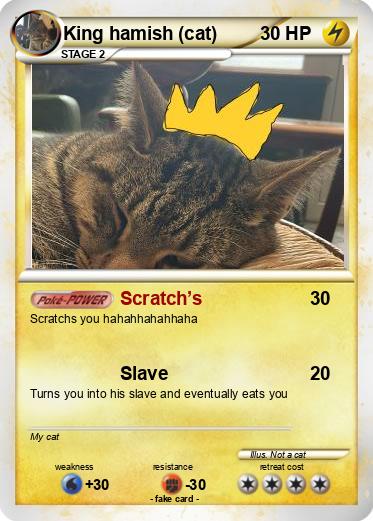 Pokemon King hamish (cat)