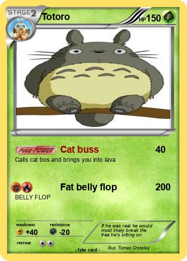 Pokemon Totoro