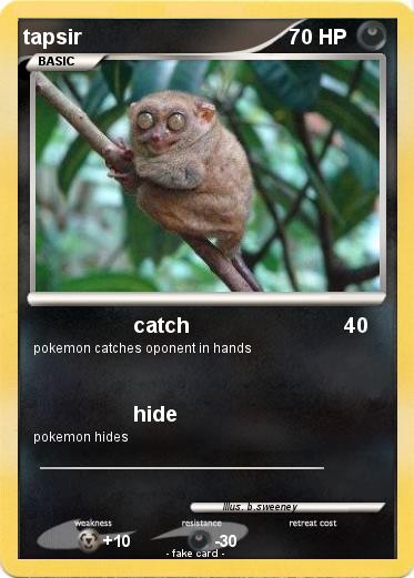Pokemon tapsir