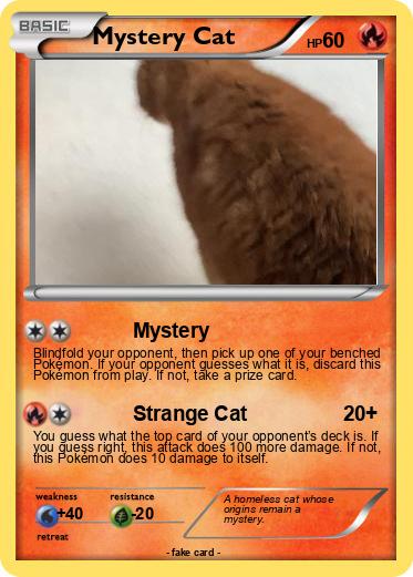 Pokemon Mystery Cat