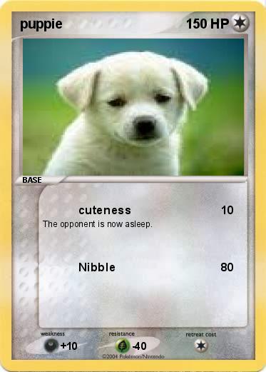 Pokemon puppie