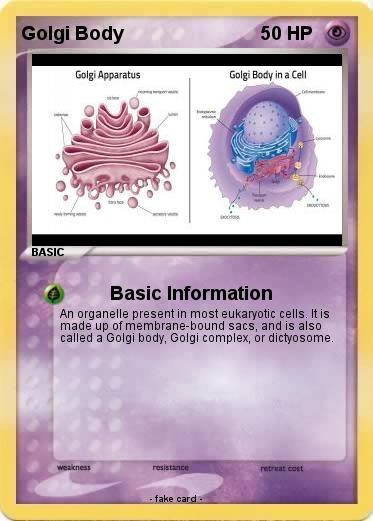 Pokemon Golgi Body