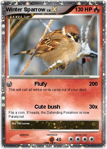 Pokemon Winter Sparrow