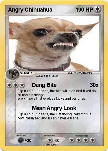 Pokemon Angry Chihuahua