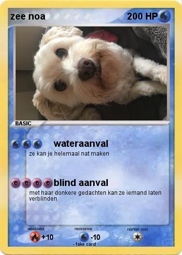 Pokemon zee noa