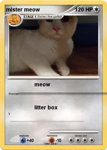 Pokemon mister meow