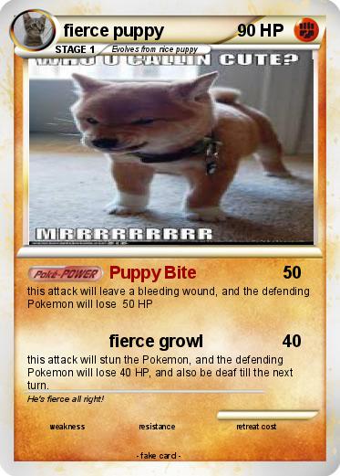 Pokemon fierce puppy