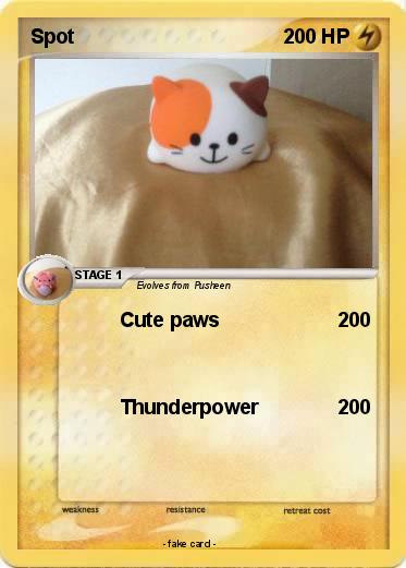 Pokemon Spot