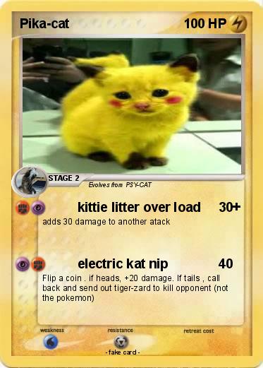 Pokemon Pika-cat