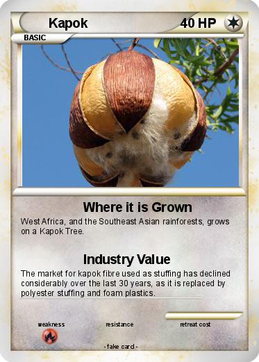 Pokemon Kapok