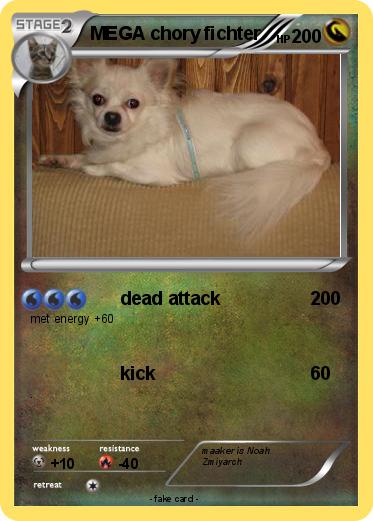 Pokemon MEGA chory fichter