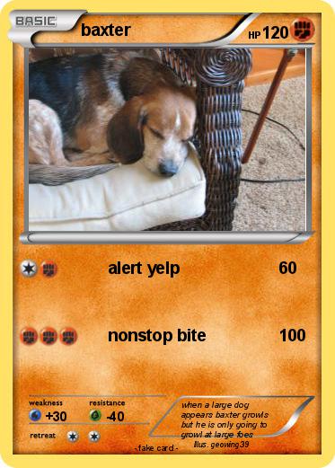 Pokemon baxter