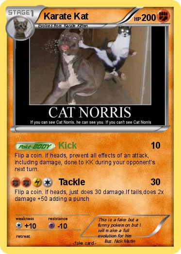 Pokemon Karate Kat