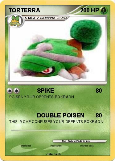 Pokemon TORTERRA