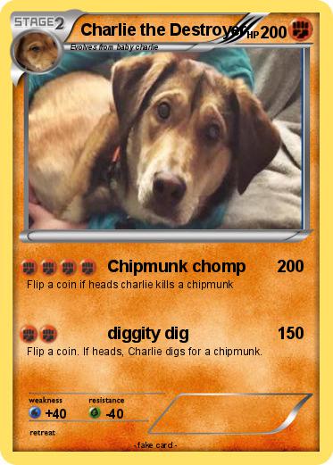 Pokemon Charlie the Destroyer