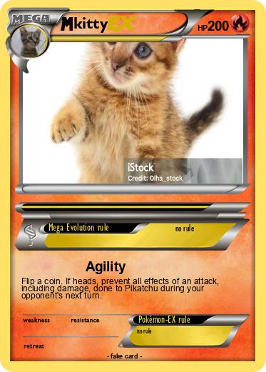 Pokemon kitty