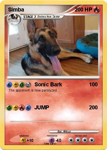 Pokemon Simba
