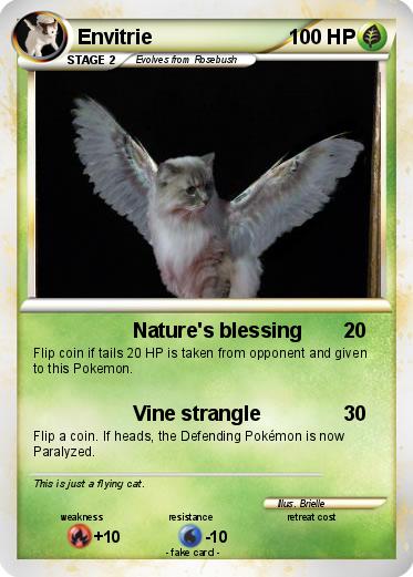Pokemon Envitrie
