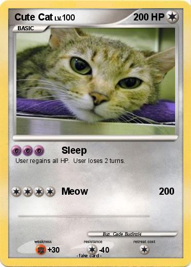 Pokemon Cute Cat