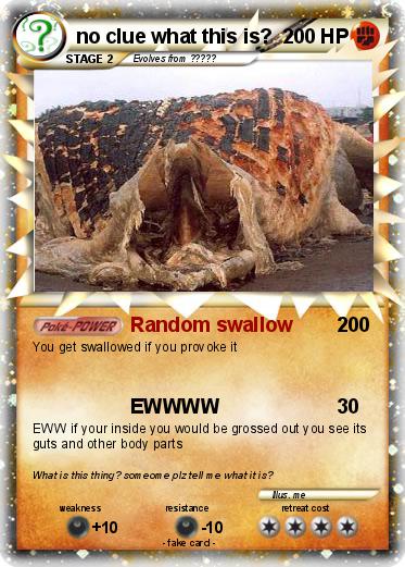 Pokemon no clue what this is?