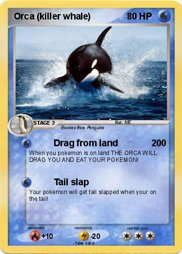 Pokemon Orca (killer whale) Pokemon Orca (killer whale)