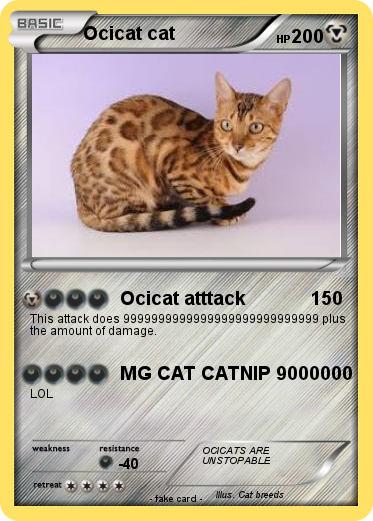 Pokemon Ocicat cat