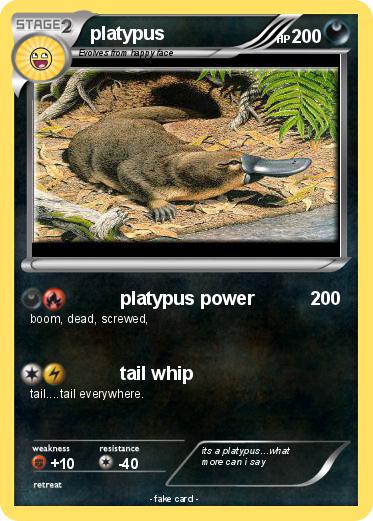 Pokemon platypus