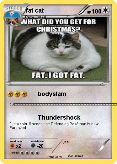 Pokemon fat cat