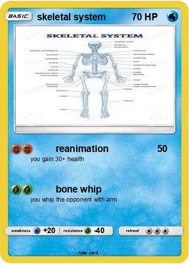 Pokemon skeletal system