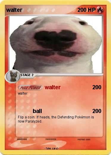 Pokemon walter