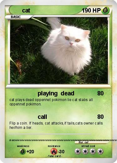 Pokemon cat