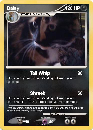 Pokemon Daisy