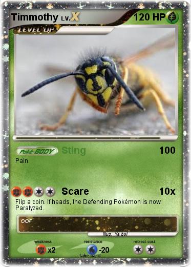 Pokemon Timmothy
