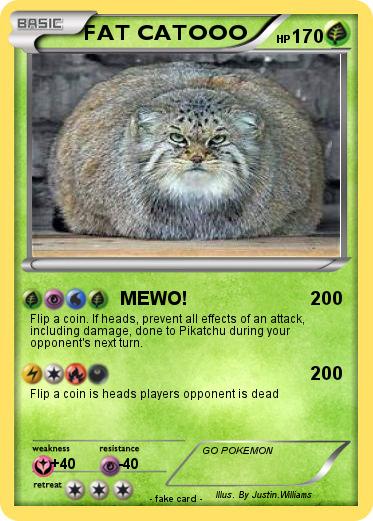 Pokemon FAT CATOOO