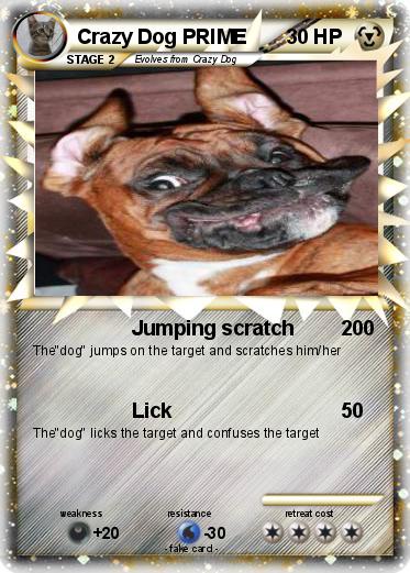 Pokemon Crazy Dog PRIME