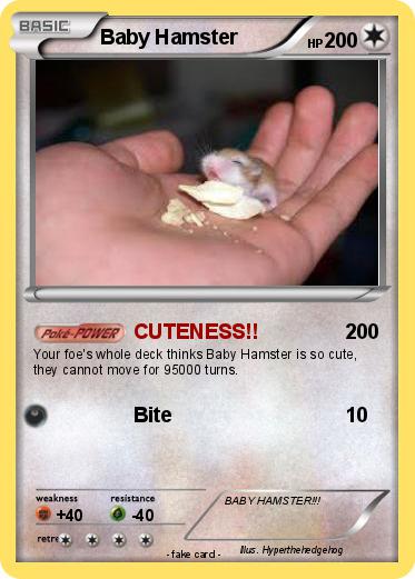 Pokemon Baby Hamster