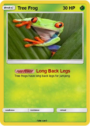 Pokemon Tree Frog