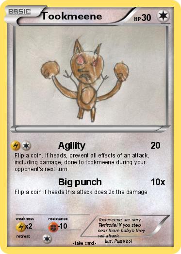 Pokemon Tookmeene
