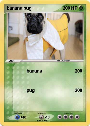 Pokemon banana pug