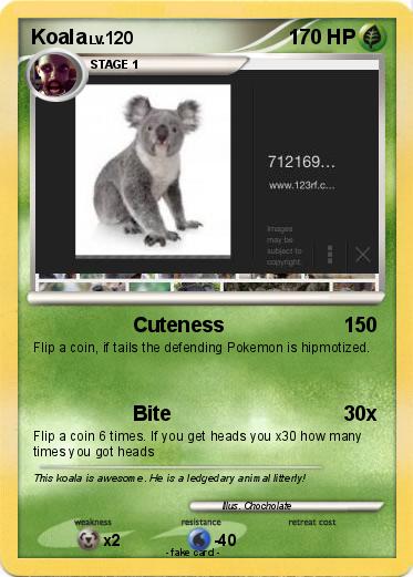 Pokemon Koala