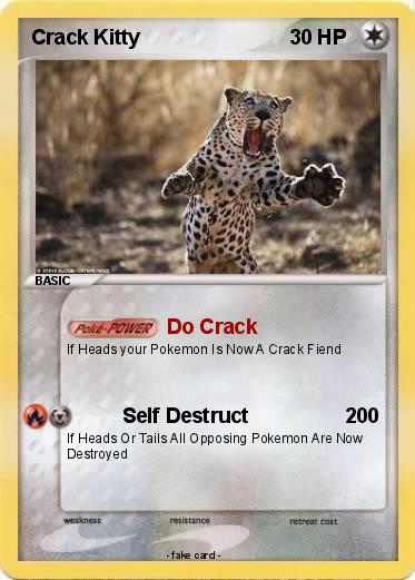 Pokemon Crack Kitty