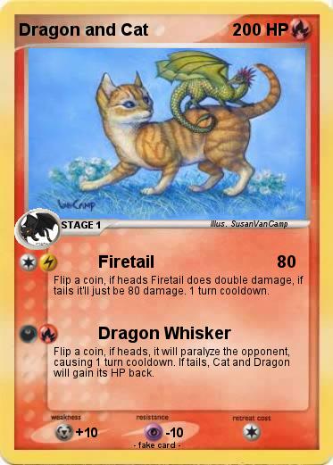 Pokemon Dragon and Cat
