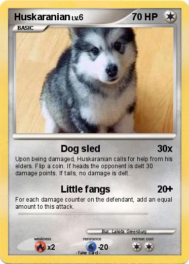 Pokemon Huskaranian